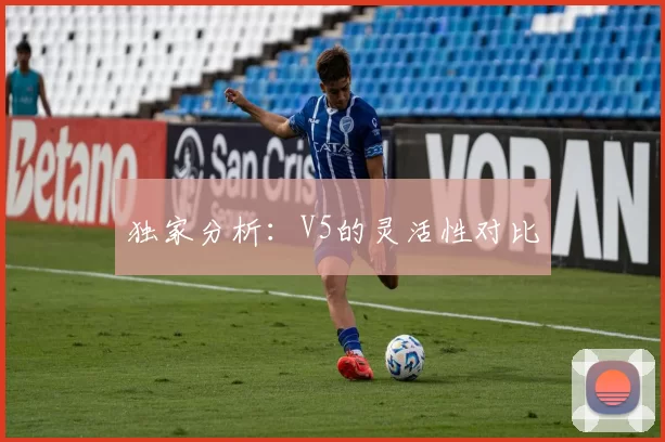 独家分析：V5的灵活性对比