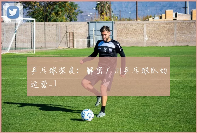 乒乓球深度：解密广州乒乓球队的运营_1