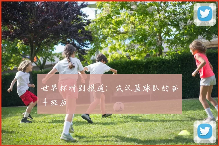 世界杯特别报道：武汉篮球队的奋斗经历