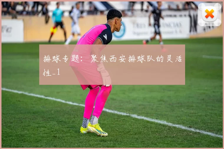 排球专题：聚焦西安排球队的灵活性_1