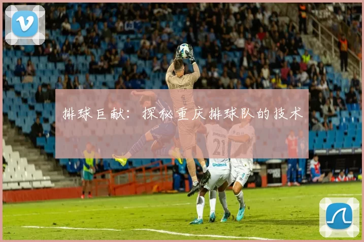 排球巨献：探秘重庆排球队的技术