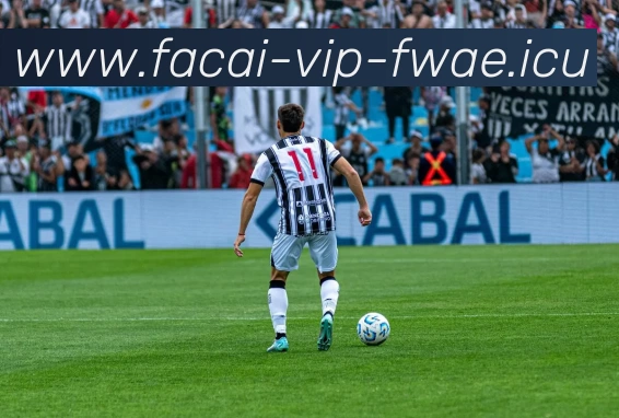 开云体育平台生态图